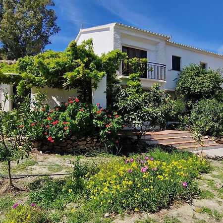 Cortijo Nerja Artist Paradise Zewnętrze zdjęcie