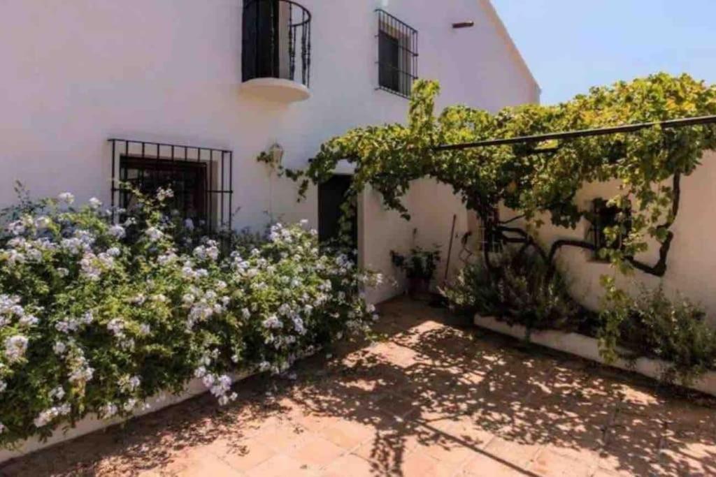 Cortijo Nerja Artist Paradise Zewnętrze zdjęcie