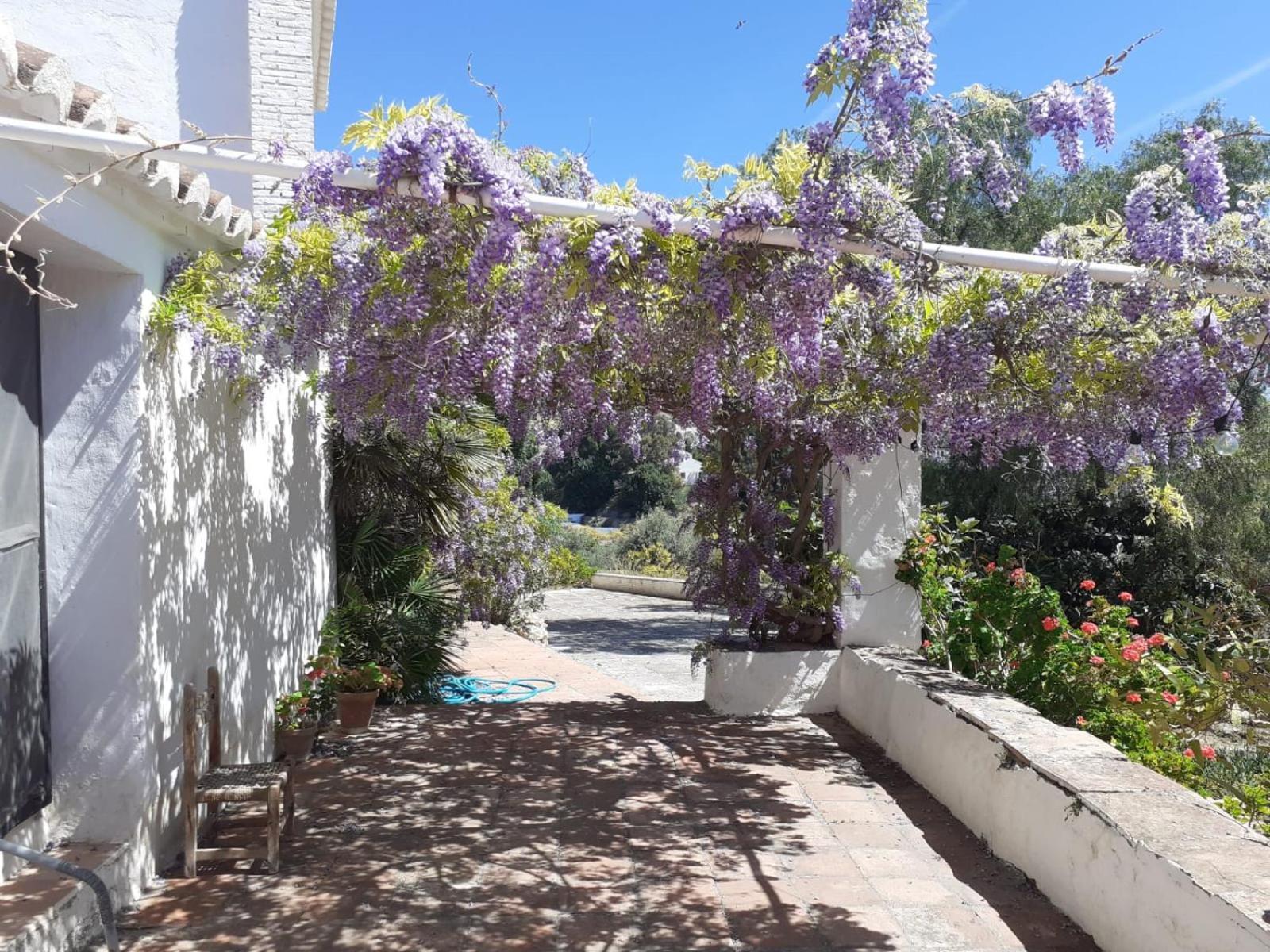 Cortijo Nerja Artist Paradise Zewnętrze zdjęcie