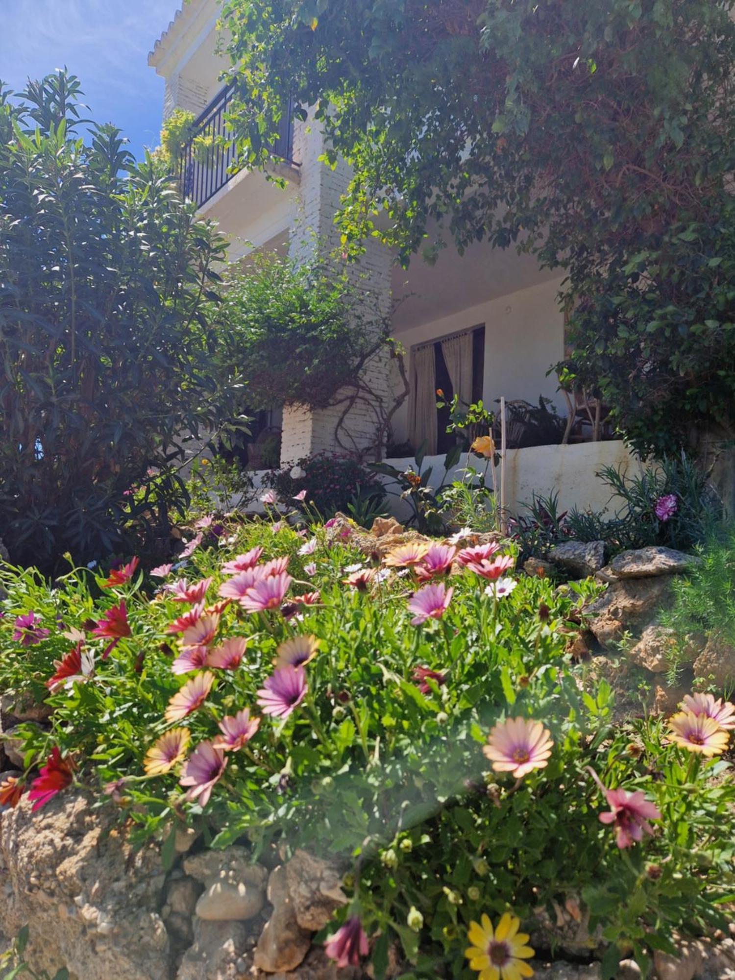 Cortijo Nerja Artist Paradise Zewnętrze zdjęcie