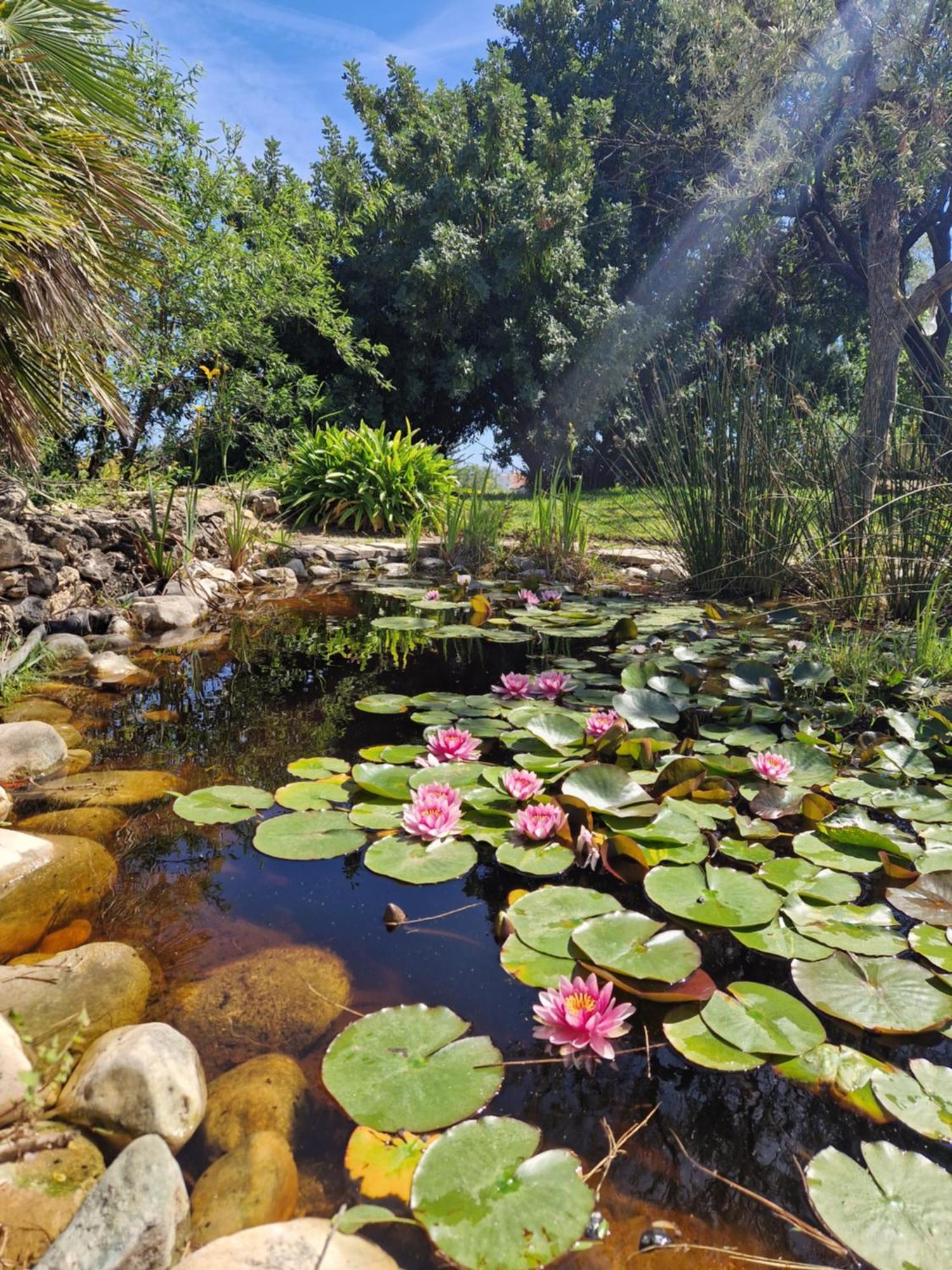 Cortijo Nerja Artist Paradise Zewnętrze zdjęcie